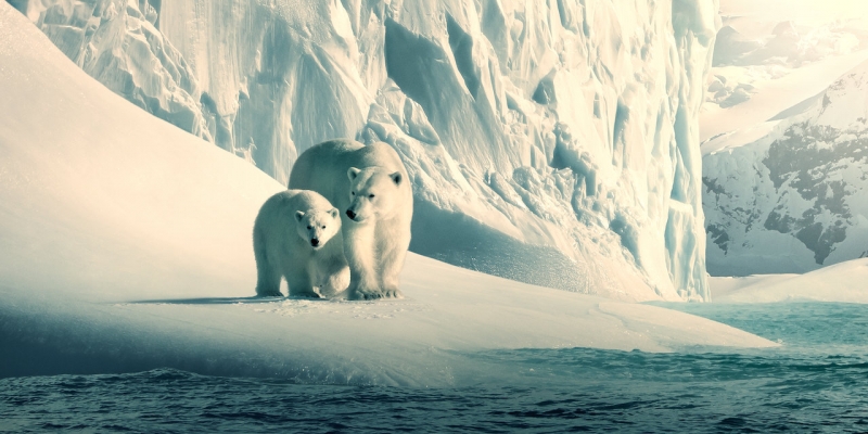 Netflix veröffentlicht Dokumentationen für Bildungszwecke